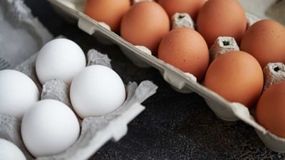 Eggs are rich in Sulphur, which helps in regulating the immune system and the entire metabolic process of the body. (Unsplash) Eggs are rich in Sulphur, which helps in regulating the immune system and the entire metabolic process of the body. (Unsplash)