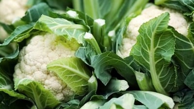 Sulphur content present in cauliflower helps in supporting gut health and improving the immunity of the body to fight infections. (Unsplash) Sulphur content present in cauliflower helps in supporting gut health and improving the immunity of the body to fight infections. (Unsplash)
