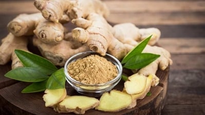 Ginger contains Sulphur, which further helps in disinfecting the body and keeping it healthy. (Unsplash) Ginger contains Sulphur, which further helps in disinfecting the body and keeping it healthy. (Unsplash)