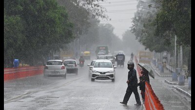 Before March, there was no rain in February and only 27.7 mm rain this January, 26% below normal. (Ravi Kumar/HT) Before March, there was no rain in February and only 27.7 mm rain this January, 26% below normal. (Ravi Kumar/HT)