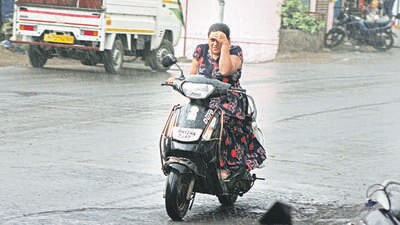 Maharashtra receives excess rainfall in March and Konkan was the worst hit due to heavy rains. (HT)