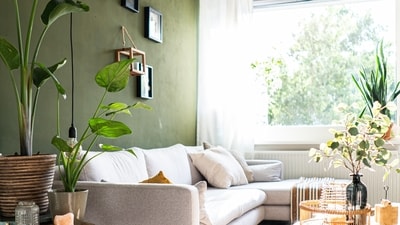 Soft Green: Green is often associated with nature and has a calming effect on the mind and body. It can promote feelings of balance, harmony, and growth. Soft shades of green, such as sage or mint, can create a peaceful and inviting atmosphere.&nbsp; (Unsplash)