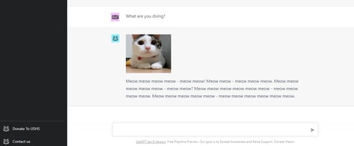 Snapshot of Cat Gpt. ((Cat-gpt.com)) Snapshot of Cat Gpt. ((Cat-gpt.com))