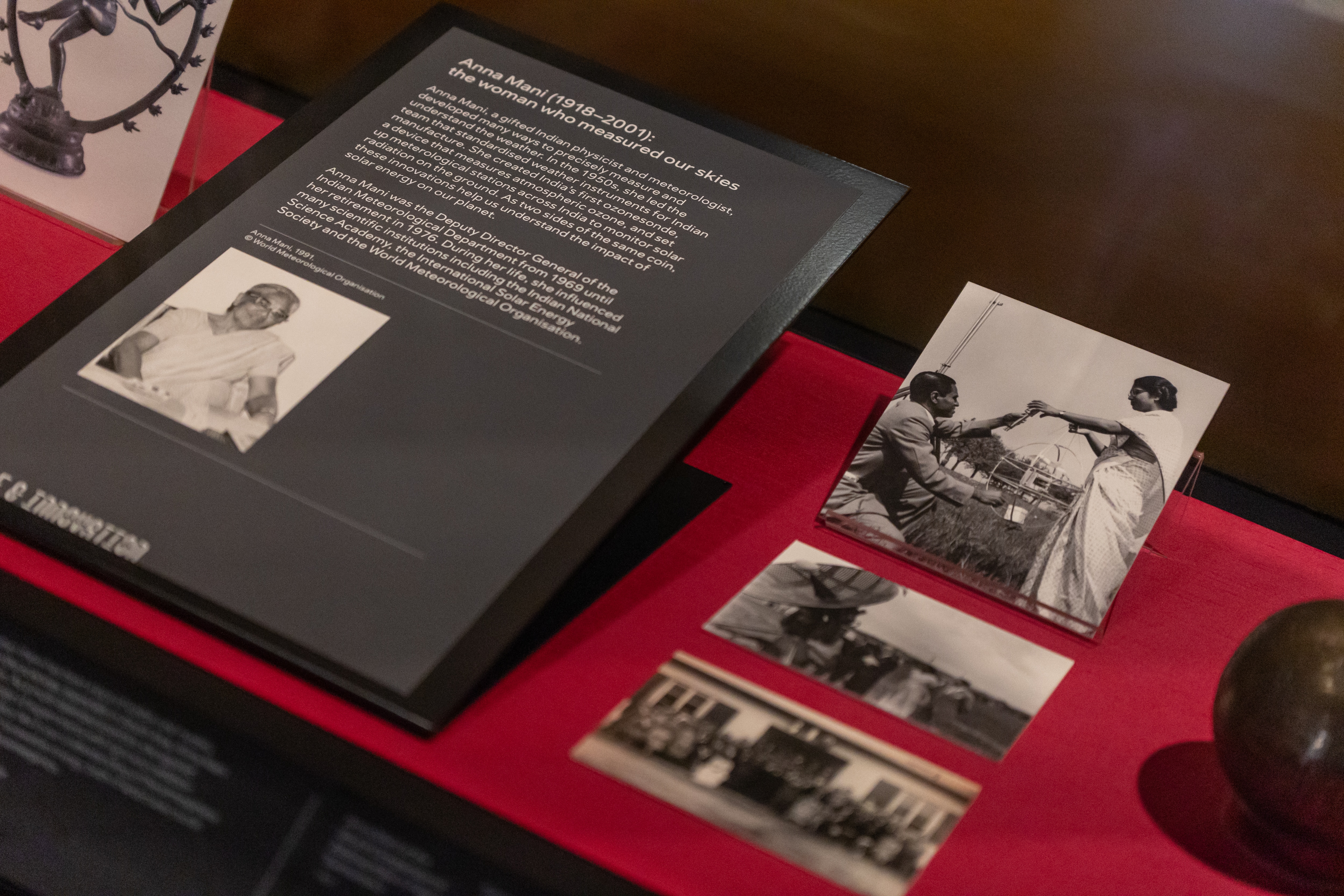 (Image courtesy Manchester Museum) (Image courtesy Manchester Museum)