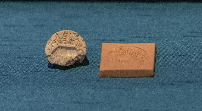 (Image courtesy Manchester Museum) (Image courtesy Manchester Museum)