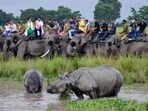 The Gaj Festival commemorates the successful completion of 30 years of Project Elephant and to give more impetus to conservation efforts.