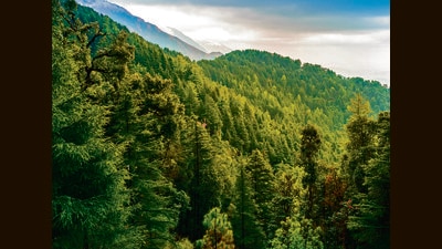 Himachal Pradesh government on Saturday appointed 2013-batch Indian Administrative Services (IAS) officer, Hemraj Bairwa as Hamirpur deputy commissioner while giving additional charges to three other officers. (Shutterstock) Himachal Pradesh government on Saturday appointed 2013-batch Indian Administrative Services (IAS) officer, Hemraj Bairwa as Hamirpur deputy commissioner while giving additional charges to three other officers. (Shutterstock)