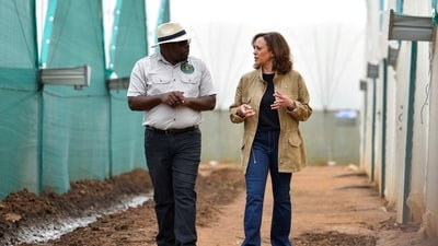 US Vice President Kamala Harris on a farm tour of Panuka Farms, in Chisamba District, Zambia. (Reuters)