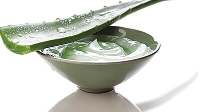 3. Moisturize with aloe vera: Aloe vera is a powerhouse ingredient when it comes to skincare. It contains enzymes that repair dead skin cells, reducing inflammation and keeping your skin moisturized and supple. Keep a bottle of pure aloe vera gel in your fridge for a cooling, refreshing boost to your skin. (File image) 3. Moisturize with aloe vera: Aloe vera is a powerhouse ingredient when it comes to skincare. It contains enzymes that repair dead skin cells, reducing inflammation and keeping your skin moisturized and supple. Keep a bottle of pure aloe vera gel in your fridge for a cooling, refreshing boost to your skin. (File image)