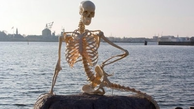An April 1, 2010 handout picture from Denmark's National Historic Museum of 'The Little Mermaid' (Brigitte Rubaek/dpa/picture alliance) An April 1, 2010 handout picture from Denmark's National Historic Museum of 'The Little Mermaid' (Brigitte Rubaek/dpa/picture alliance)