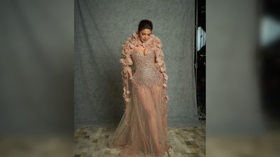 Priyanka Chopra's gown is from the Haute Couture Autumn Winter 2022 collection of Lebanese designer Elie Saab.&nbsp; (Instagram/@priyankachopra)