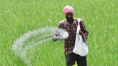 A farm labourer sprinkles fertilisers over paddy crops in Patiala. (HT Archive) A farm labourer sprinkles fertilisers over paddy crops in Patiala. (HT Archive)