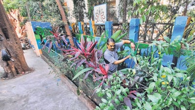 Thane, India - March 31, 2023: 59-year-old Dr. R. Krishnamurti, an orthopedic surgeon from Thane transforms a street filled with garbage outside his society into a garden after 12 years of his continuous efforts, in Thane, India, on Friday, March 31, 2023. (Praful Gangurde/HT Photo) (HT PHOTO) Thane, India - March 31, 2023: 59-year-old Dr. R. Krishnamurti, an orthopedic surgeon from Thane transforms a street filled with garbage outside his society into a garden after 12 years of his continuous efforts, in Thane, India, on Friday, March 31, 2023. (Praful Gangurde/HT Photo) (HT PHOTO)