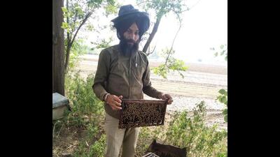 The unseasonal prolonged wet season in Punjab has caused widespread damage to the flora in the wild, the key source of nectar for honeybees. The unseasonal prolonged wet season in Punjab has caused widespread damage to the flora in the wild, the key source of nectar for honeybees.