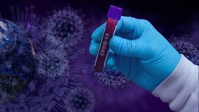 The technology will be used to identify all viral, bacterial and fungal species through DNA sequencing technique. (Pixabay) The technology will be used to identify all viral, bacterial and fungal species through DNA sequencing technique. (Pixabay)