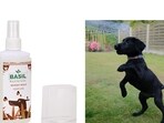 Perfumes for dogs are no longer luxury items, but a necessity.
