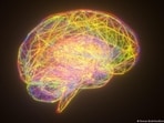 Autism is a spectrum condition and affects people in a variety of ways. 