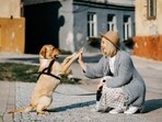 "Dogs are often called man's best friend for a good reason. These loyal and loving creatures have a special way of showing their appreciation and gratitude towards their parents
