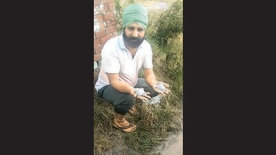 Harpreet, a farmer, shows hail in his field in Sangrur. (HT Photo) Harpreet, a farmer, shows hail in his field in Sangrur. (HT Photo)