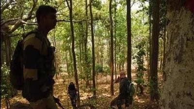The Jharkhand police said the encounter is ensuing inside the forest area on the Chatra-Palamu border. (Representative Image)