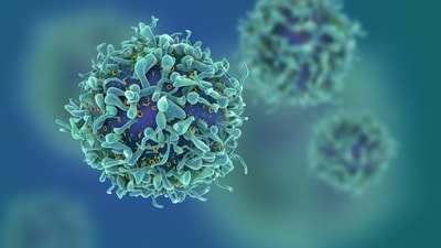Understanding how cancer cells thrive or fail in the brain niche could help us develop new treatments targeting these molecular processes (Shutterstock)