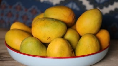 Mangoes are a storehouse of nutrients, antioxidants and fibre that can boost energy and prevent digestive issues like constipation. (Unsplash) Mangoes are a storehouse of nutrients, antioxidants and fibre that can boost energy and prevent digestive issues like constipation. (Unsplash)