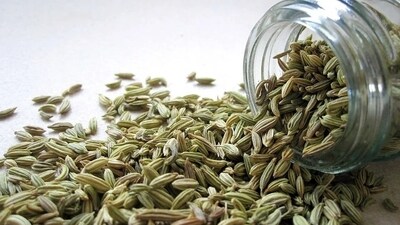 It is recommended to chew on fennel seeds as a post-meal ritual, as it is believed to have several health benefits such as aiding digestion, freshening breath, and reducing bloating and flatulence. (Pixabay)