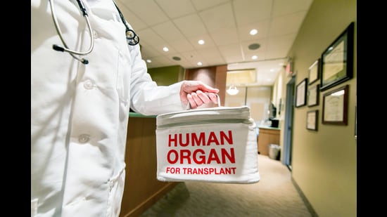 Complaint by Sirsa resident, who was not paid the promised ₹10 lakh for his kidney, spurs Mohali police into action. (Getty Images/iStockphoto)