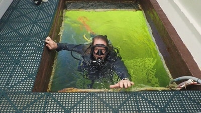 Dituri conducts research into the effects of hyperbaric pressure – when air pressure is greater than it would be at sea level – on the human body. (Twitter) Dituri conducts research into the effects of hyperbaric pressure – when air pressure is greater than it would be at sea level – on the human body. (Twitter)