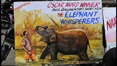 To cherish the other win, I watched The Elephant Whisperers with my two-year old daughter, writes Alpana (Anshuman Poyrekar/HT PHOTO) To cherish the other win, I watched The Elephant Whisperers with my two-year old daughter, writes Alpana (Anshuman Poyrekar/HT PHOTO)