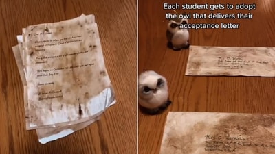The image shows the ‘Hogwarts acceptance letters’ made by teachers for her students. (Instagram/@alexandrastampsmcdowell) The image shows the ‘Hogwarts acceptance letters’ made by teachers for her students. (Instagram/@alexandrastampsmcdowell)