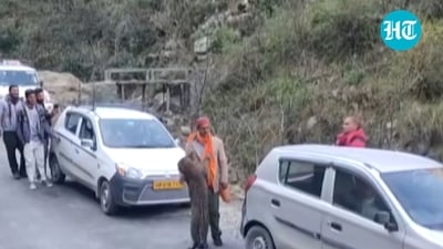 Leopard playing with an individual in Himachal Pradesh’s Tirthan Valley. (Twitter/@htTweets) Leopard playing with an individual in Himachal Pradesh’s Tirthan Valley. (Twitter/@htTweets)