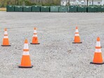 US firm's way of protecting bird's nest. US firm's way of protecting bird's nest.