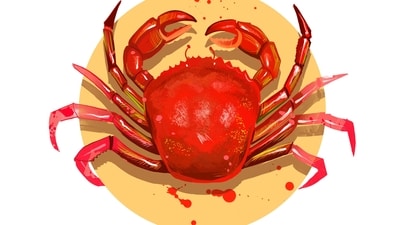 Cancer Daily Horoscope Today for April 6, 2023: Cancers looking for love can find great rewards today. Cancer Daily Horoscope Today for April 6, 2023: Cancers looking for love can find great rewards today.