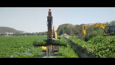 Till 2018, we were spending Rs2 crores to remove the water hyacinth with the help of the vehicle department. (HT PHOTO) Till 2018, we were spending Rs2 crores to remove the water hyacinth with the help of the vehicle department. (HT PHOTO)
