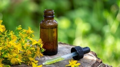 St John’s Wort helps in managing depression as this herb contains hypercin, which has anti-depressant properties. (Unsplash) St John’s Wort helps in managing depression as this herb contains hypercin, which has anti-depressant properties. (Unsplash)