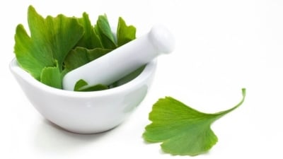 Gingko Biloba has serotonin enhancing properties, which further helps in boosting the mood, and managing depression symptoms. (Unsplash) Gingko Biloba has serotonin enhancing properties, which further helps in boosting the mood, and managing depression symptoms. (Unsplash)