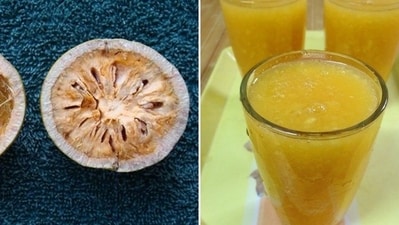 Bael juice: It is an energy booster for the harsh summer days that can cool you down. Bael juice is loaded with riboflavin, a B-vitamin that plays a vital role in maintaining the body’s energy supply during hot days. (Pinterest) Bael juice: It is an energy booster for the harsh summer days that can cool you down. Bael juice is loaded with riboflavin, a B-vitamin that plays a vital role in maintaining the body’s energy supply during hot days. (Pinterest)