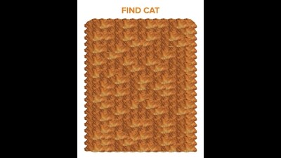 Viral Brain Teaser: Can you find a cat in this image shared by Swiggy? (Twitter/@Swiggy) Viral Brain Teaser: Can you find a cat in this image shared by Swiggy? (Twitter/@Swiggy)