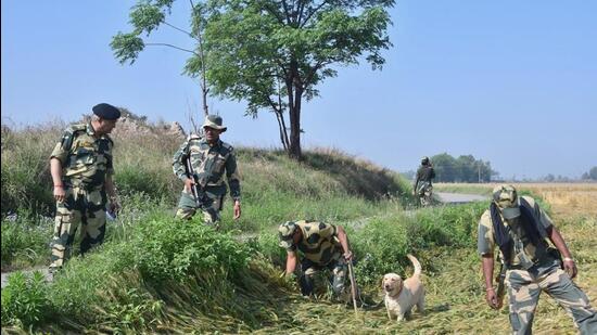 Border Security Force personnel carrying out a search near Mehandipur village in Tarn Taran district on Wednesday. (HT Photo)