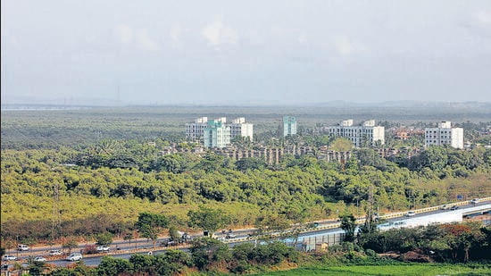 Eleven types of mangrove species, the habitat of 177 species of resident and migratory birds, otters, turtles, fish, crabs, oysters, wild boar, monkeys, flying fox, fishing cats, civets, mongoose, wild cats etc. frequently enter the mangroves for feeding and shelter — will be directly affected by the project, according to an 85-page report by the Mangrove Society of India (MSI) from June 2018. (HT Archives)