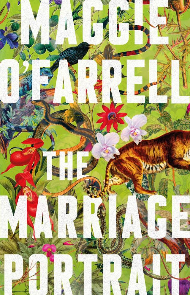 448pp, Rs799; Hachette India
