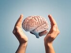 Brain proteins may play important role in body weight regulation: Study