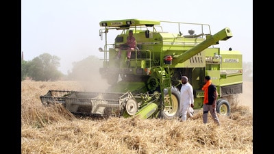 A farmer harvests wheat crop using a combine machine in Bahi Bakhtor village on Bathinda-Mansa road in Punjab,on Thursday. (Sanjeev Kumar/HT)