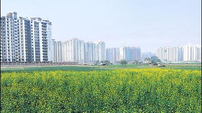 Greater Noida authority chief executive officer Ritu Maheshwari has directed all departments to work on schemes to attract investors and create jobs in the city. (HT Archive) Greater Noida authority chief executive officer Ritu Maheshwari has directed all departments to work on schemes to attract investors and create jobs in the city. (HT Archive)