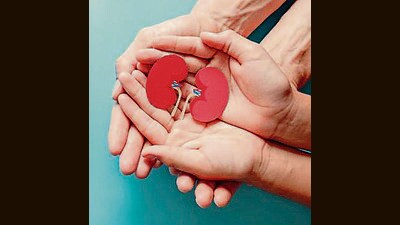The names of three more facilitators in the alleged kidney transplant racket at Indus International Hospital in Derabassi have come to the fore during probe. (Shutterstock) The names of three more facilitators in the alleged kidney transplant racket at Indus International Hospital in Derabassi have come to the fore during probe. (Shutterstock)