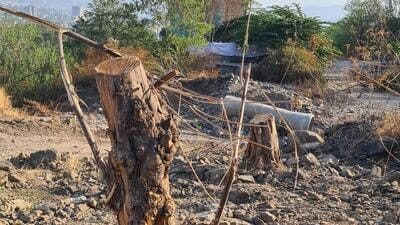 Trees cut by water supply department at Vetal Tekdi. (HT photo) Trees cut by water supply department at Vetal Tekdi. (HT photo)