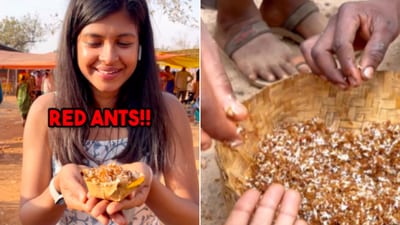 The image shows the woman trying a dish made using red ants in Chhattisgarh’s Bastar. (Instagram/@explore_with_vids) The image shows the woman trying a dish made using red ants in Chhattisgarh’s Bastar. (Instagram/@explore_with_vids)