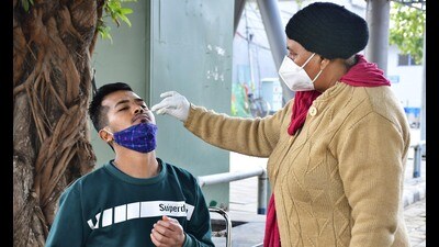 Health worker collecting swab samples in Ludhiana.(File Photo) (HT File Photo) Health worker collecting swab samples in Ludhiana.(File Photo) (HT File Photo)