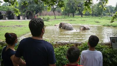 The Delhi Zoo, which opened in 1959 and was awarded the title of national zoological park in 1982, currently houses over 90 species of birds and animals. (HT Archive) The Delhi Zoo, which opened in 1959 and was awarded the title of national zoological park in 1982, currently houses over 90 species of birds and animals. (HT Archive)